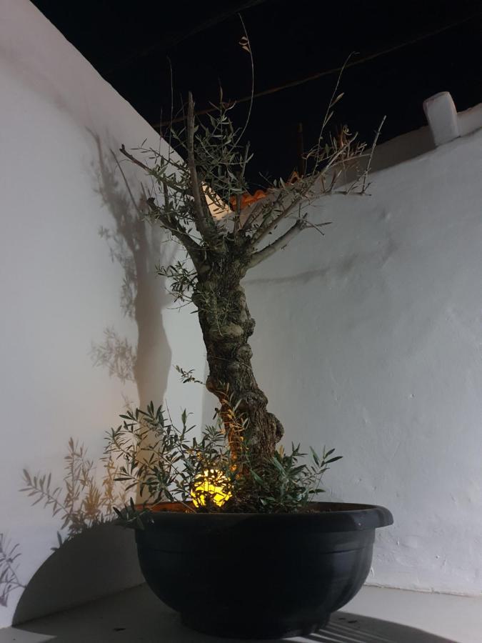 Casa Delaluz Villa อัลเตอา ภายนอก รูปภาพ